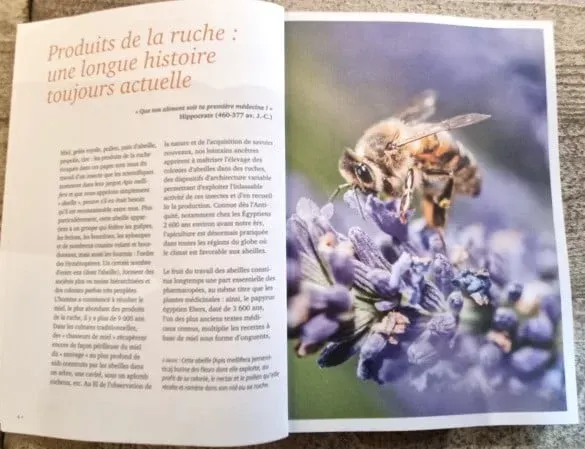 La santé par les abeilles – Dr Denis Richard – ULMER – Image 2