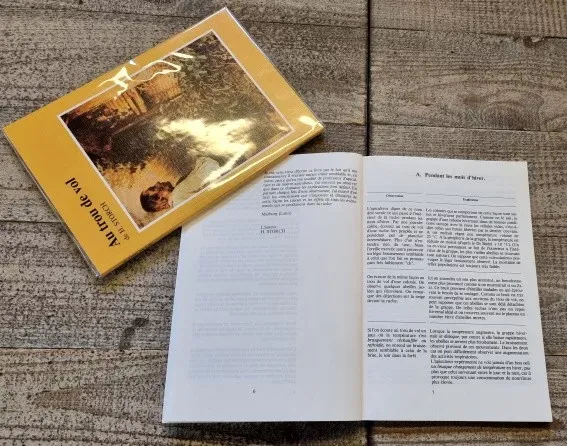 Au Trou de vol – H Storch – Image 2