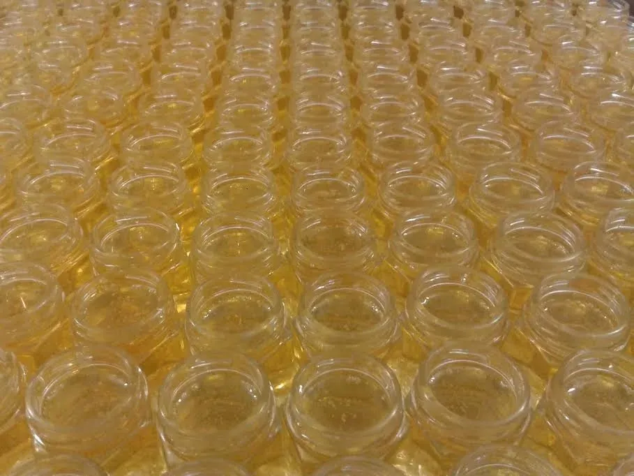 Miel d’Acacia – pot en verre 50g – Image 3