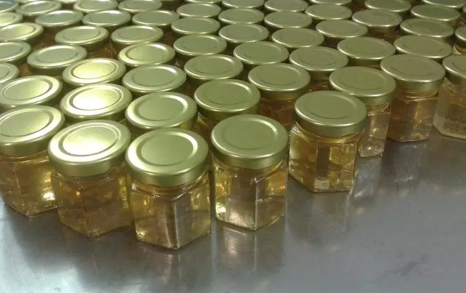 Miel d’Acacia – pot en verre 50g – Image 2