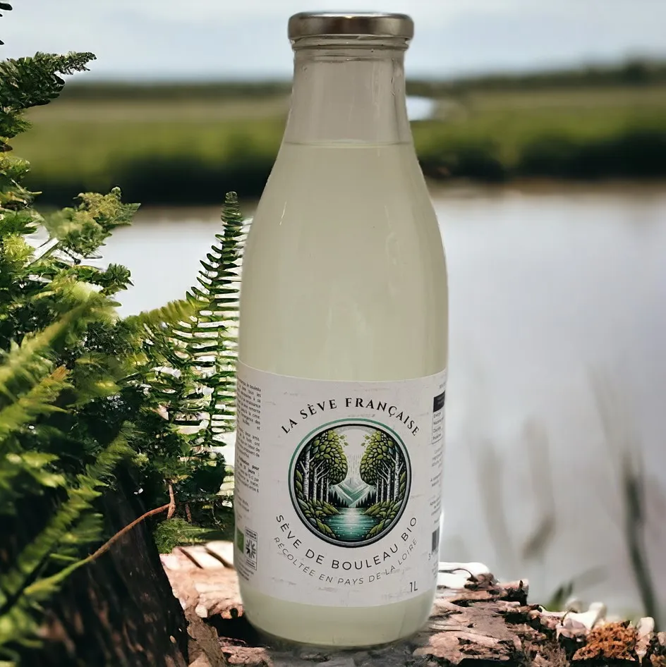 SEVE DE BOULEAU NATURE BIO 1L