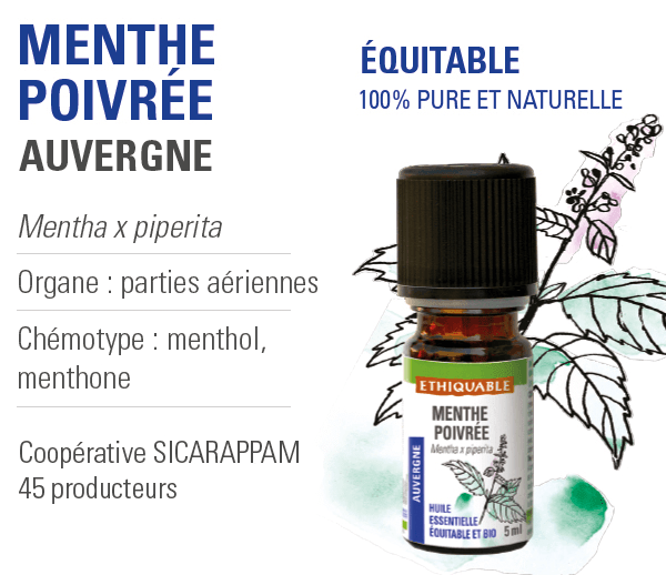 HUILE ESSENTIELLE MENTHE POIVREE – Image 5