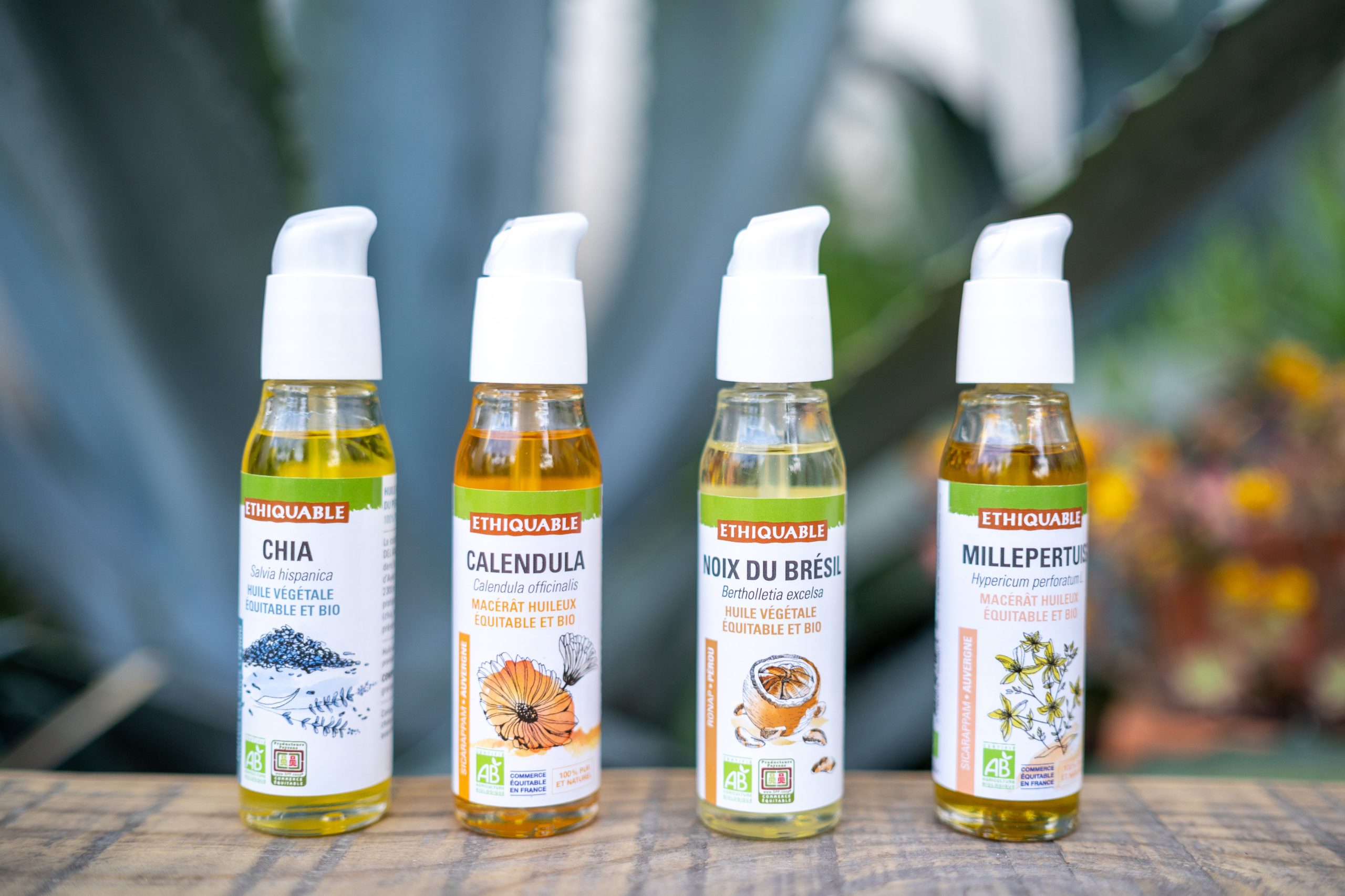 HUILE VÉGÉTALE DE CHANVRE – Image 2