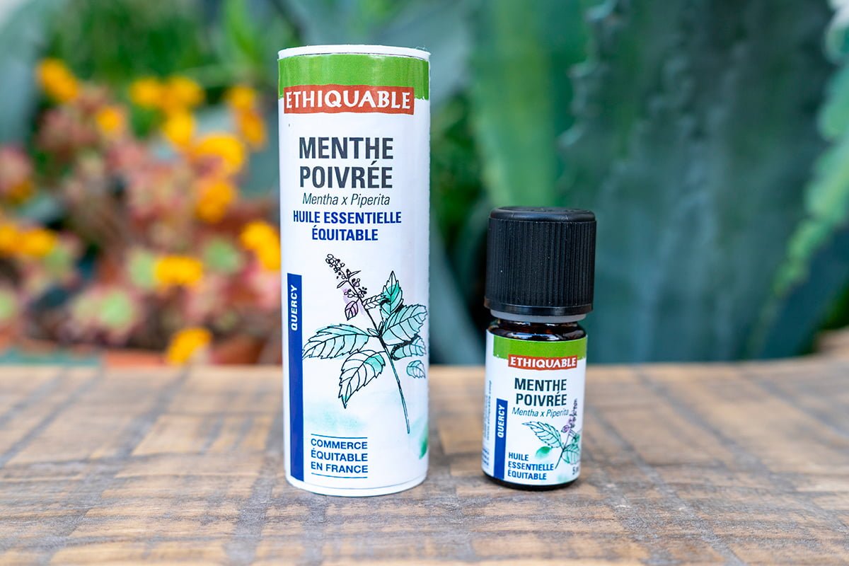 HUILE ESSENTIELLE MENTHE POIVREE – Image 3